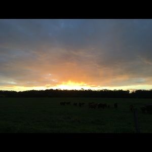 Meet your Posher, Lucy